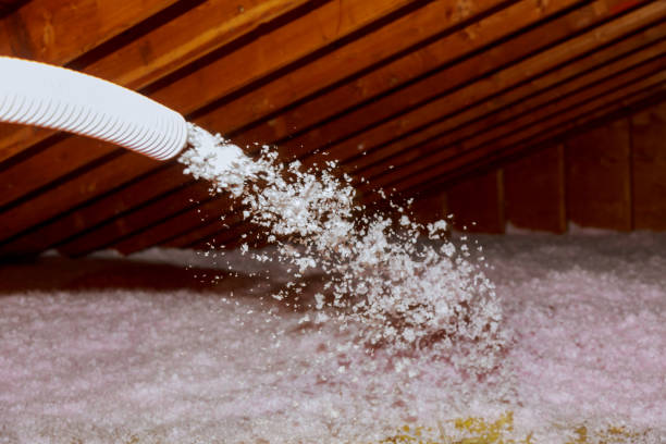 Best Spray Foam Insulation in Eudora, AR