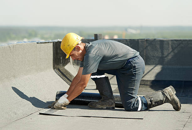 Best Geographic-Specific Insulation Services in Eudora, AR