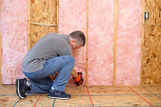 Best Cellulose Insulation in Eudora, AR
