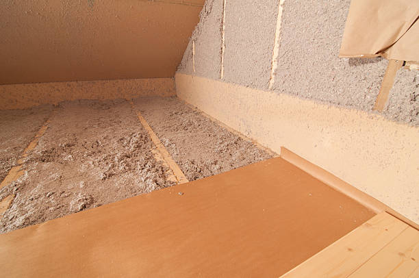 Best Eco-Friendly Insulation in Eudora, AR